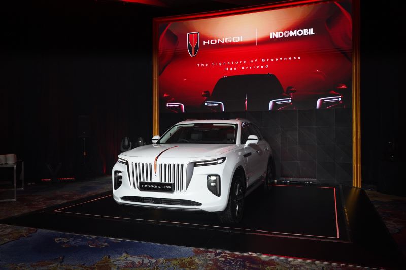 rsz Hongqi E-HS9 (2)